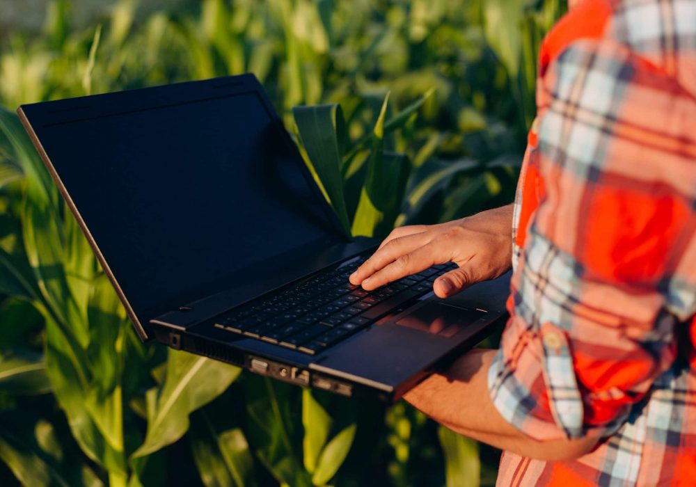 Servicios 5 Ingeniería ESG ODS RSC BIA3 Consultores