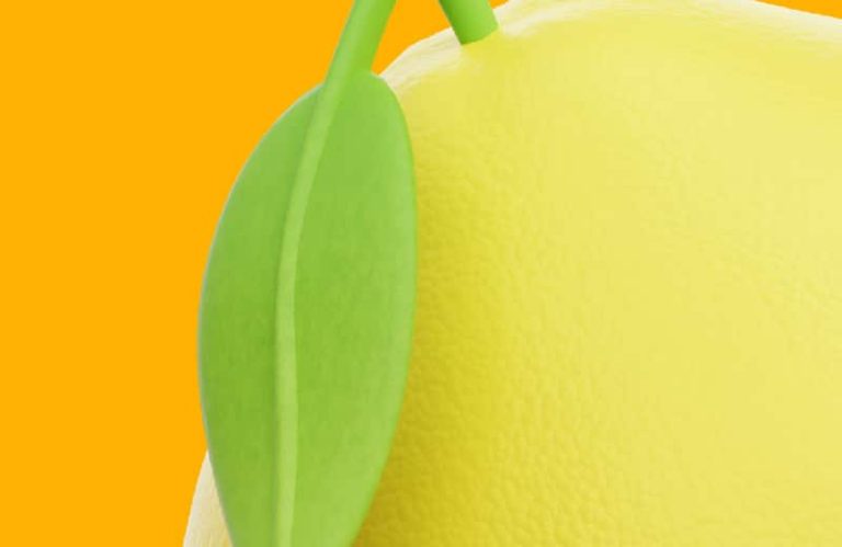 BIA3 Consultores - Con Un Par - Limones - Ayuntamiento de Santomera