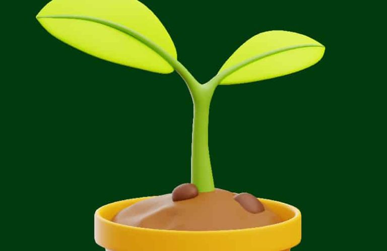 BIA3 Consultores - Greenfood Ibérica - Toda una Vida